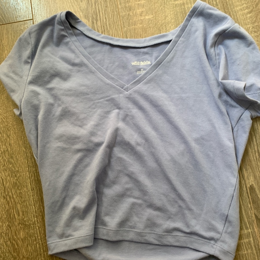 wild fable crop top!